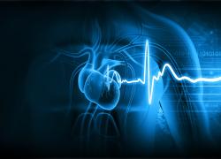 Heart & Vascular